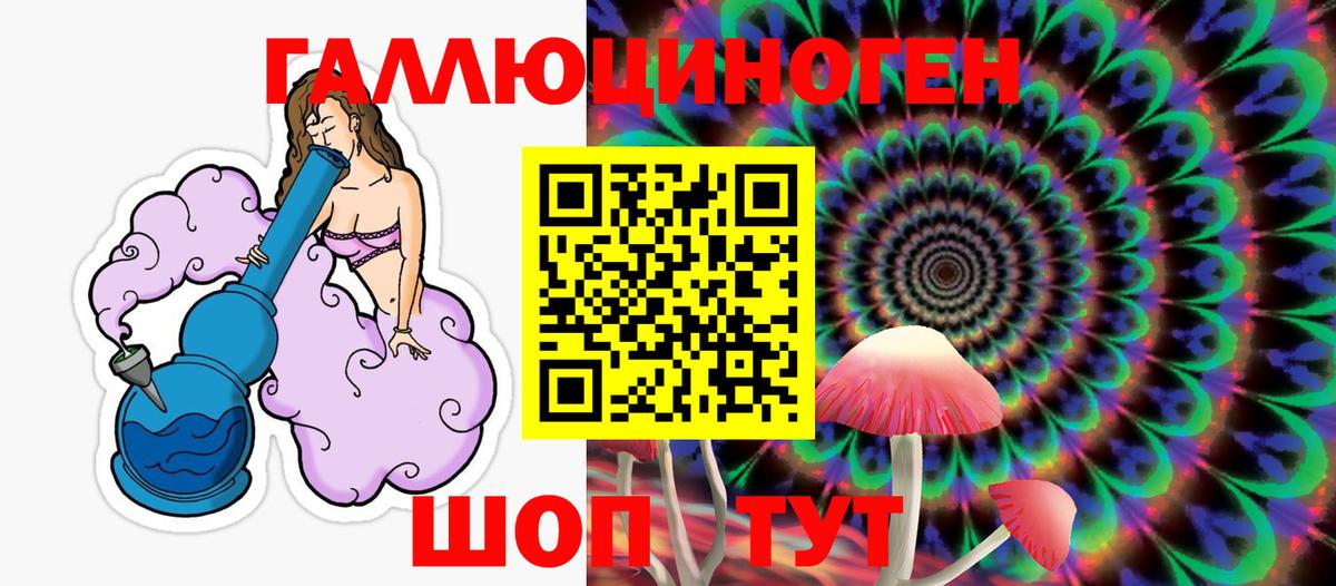Псилоцибиновые грибы GOLDEN TEACHER  Вход с VPN  Белгород  Галлюциногенные грибы MAGIC MUSHROOMS 